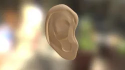 Oreja