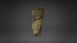 Os gravé figurant une tête d'ours