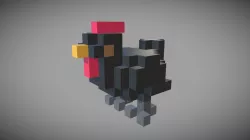 Poule marans