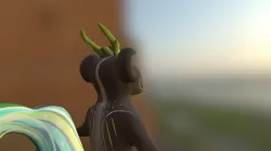 Puca Model