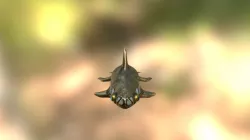 Shark Model