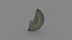 Small Shell Edge Plate