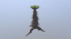 Spinam desert