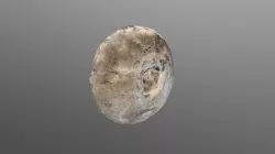 Spindle Whorl FS#61421170