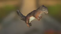 Squirel Resurrection
