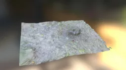 stump