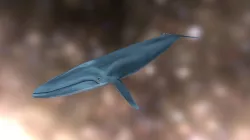 Stylized Blue Whale