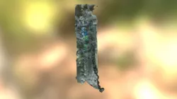 Toothpaste 2