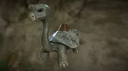 Tortle For Quixel