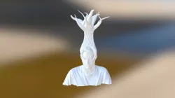 Tree Head