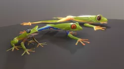 3 frogs