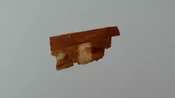 3d Pasillo