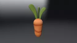 An-actual-factual-carrot