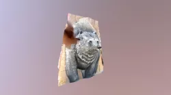 Big Bear