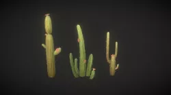 Cactus