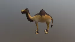 Camel LOD Pack