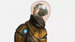 Captain parrot