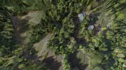 Cove Crest Aug 2017