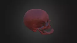 Cranio