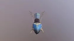 drag