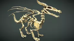 Dragon Skeleton