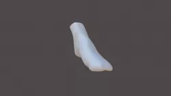 Foot scan