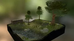 Forest Scene