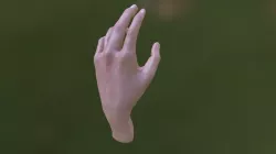 Hand