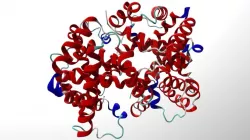 Hemoglobin