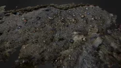 IPSCARP22 (2014)