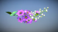 Lagerstroemia