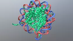 Nucleosome Core
