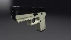 P250 - Worn
