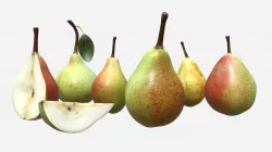 Pear 3d model