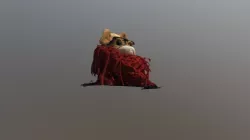 Perro