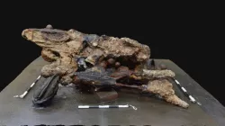 RK17 F0001 Concretion - Stage 2