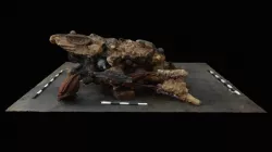 RK17 F0001 Concretion - Stage 3