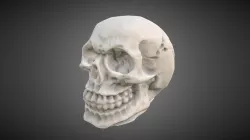 Scull scan