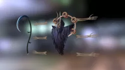 Shinigami Model