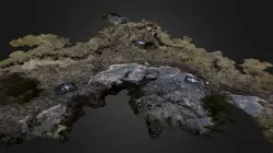 SLSCARP10 (2014) low-res