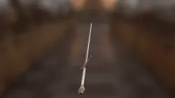 Sword