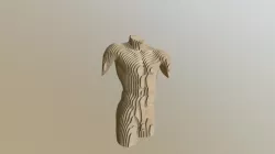 Torso Male