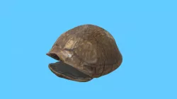 Turtle Shell