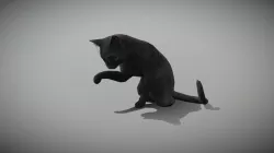 An Animated Cat