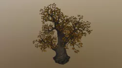Autumnal Forest Tree