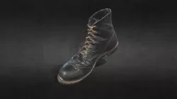 Black Shoe