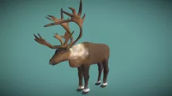 Caribou