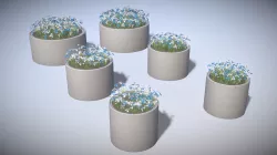Concrete Pipe Pots with Blue White Flowers