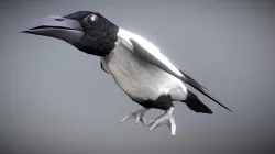 Crow