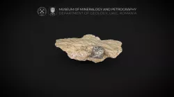 Dacite with dipyramidal β-Quartz